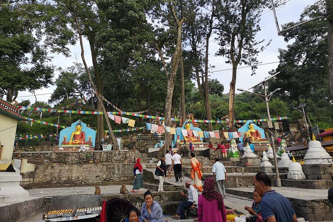 Morning Monk - Pickup Details and Policies