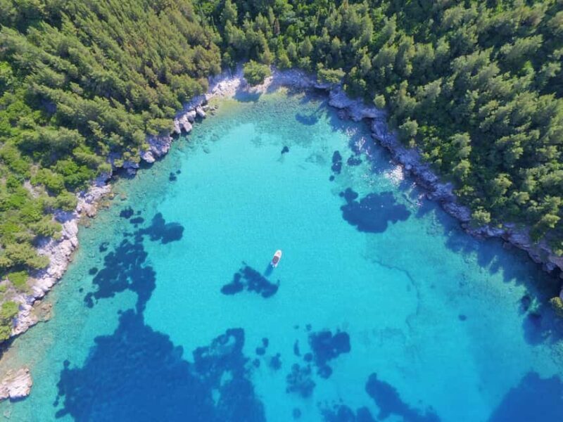 Morning or Afternoon Blue Escape - Authentic Insights from Reviews