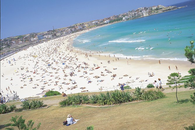 Morning or Afternoon Half-Day Sydney City Sightseeing Tour - Sydney Landmarks and Neighborhoods