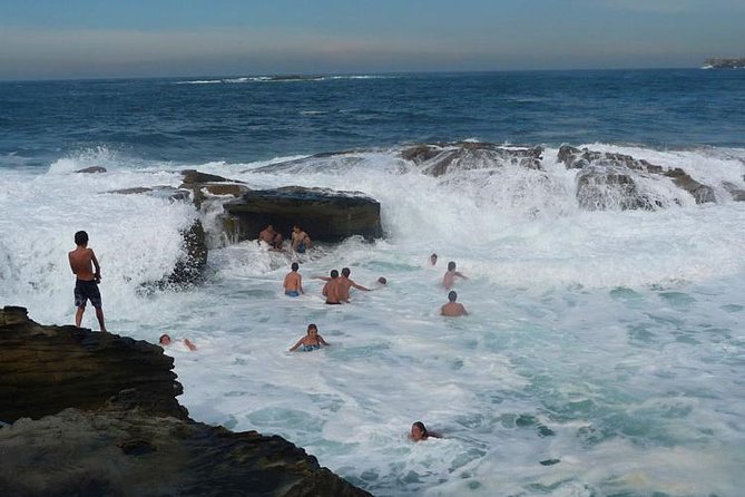 Morning or Afternoon Highlights Tour in Sydney With a Local Guide - Pricing and Booking Details