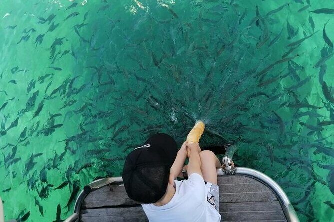 Morning panorama & swimming with a fishes - Good To Know