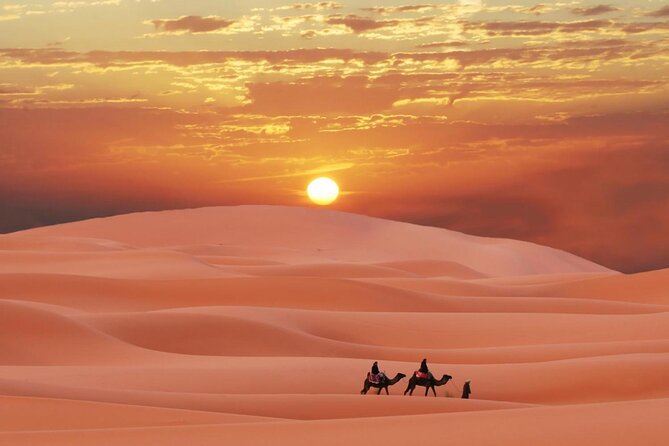Morning Quad Biking & Red Sand Desert Safari , Camel Ride, Sand Boarding - What To Expect