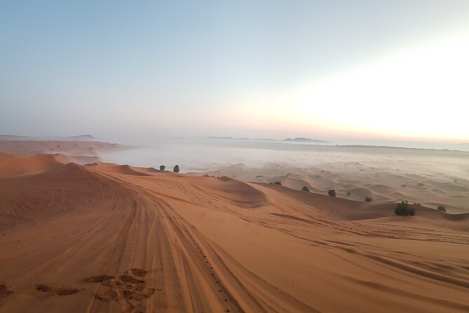 Morning Red Dune Desert Safari in Dubai With Camel Ride and Sand Boarding - Admiring the Vast Renowned Landscape
