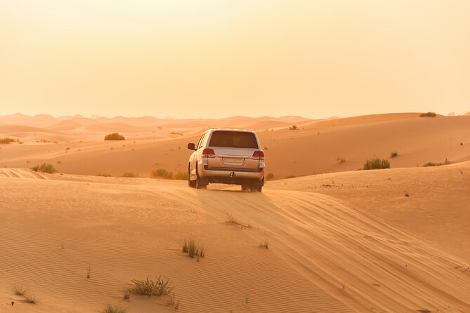 Morning Red Dune Desert Safari With Sandboarding, Camelride & More - Camel Ride Experience
