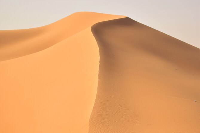 Morning Red Dune Desert Safari With Sandboarding, Camelride & More - Cancellation Policy Details