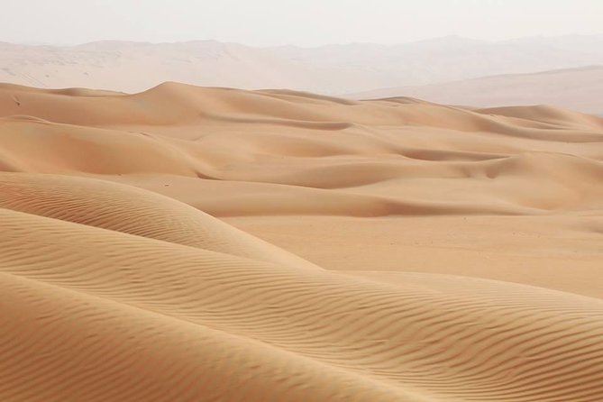 Morning Red Dunes by Quad Bike, Camel Ride and Sandboarding - Pricing Information and Booking Details