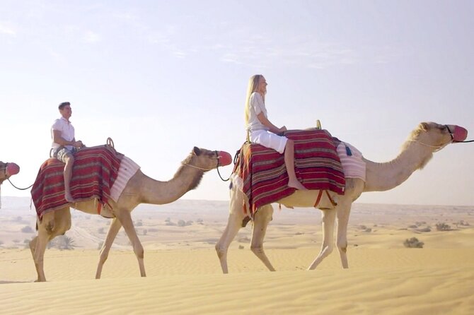 Morning Red Dunes Desert by Quad Bike, Dune Bashing, Camel Ride & Sandboarding - The Sum Up