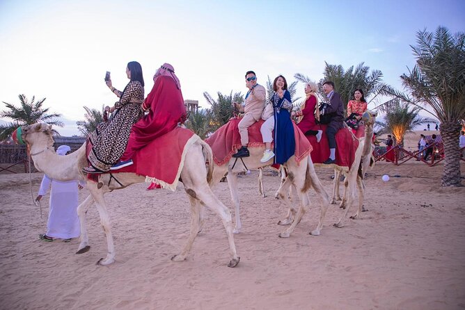 Morning Safari Camel Ride & Quad Biking Tour - Viator Help Center for Questions