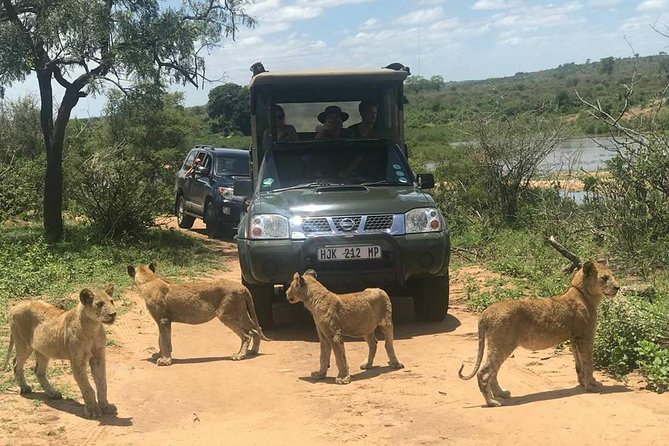 Morning Safari in Kruger National Park From Hazyview (Am Knp) - Cancellation Policy and Refunds