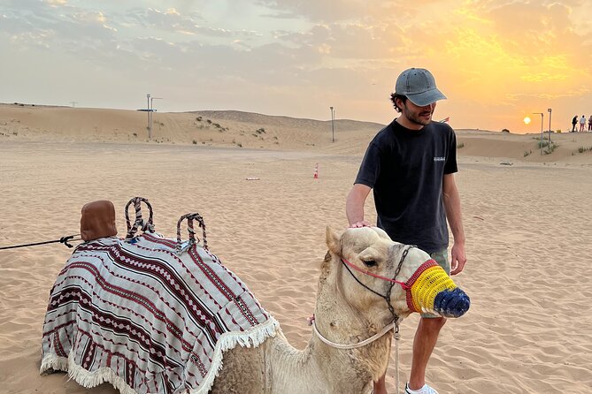 Morning Safari, Sand Boarding, Camel Ride and Photography - Visual Evidence and Social Media