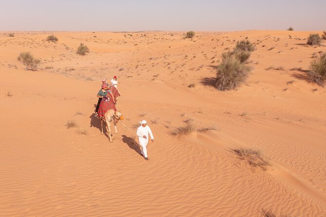 Morning Safari With Camel Ride and Dune Buggy - Experience the Desert Sunrise
