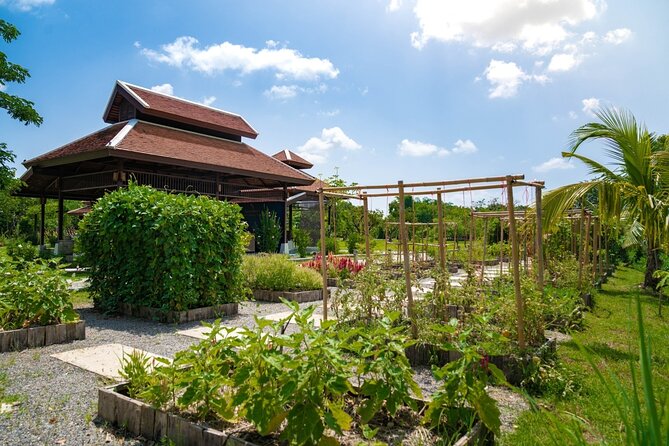 Morning Session - Thai Cooking Class in Traditional Pavilion With Beautiful Farm - Cooking Instructions and Tips