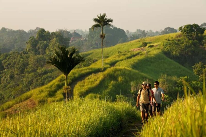 Morning Sidemen Rice Paddies Trekking  Balinese Massage - Good To Know
