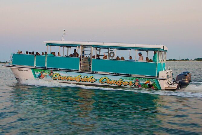Morning Snorkel & Dolphin Adventure - Who Should Consider This Tour?
