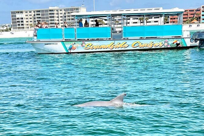 Morning Snorkel & Dolphin Adventure - A Deep Dive Into the Experience