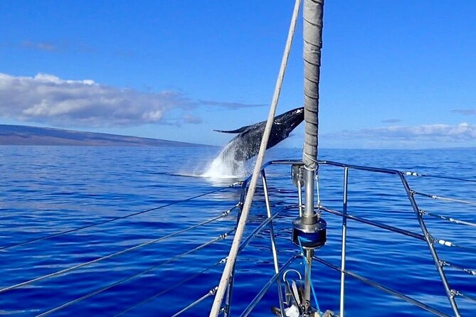 Morning Snorkel Sail From Lahaina Harbor - Customer Reviews