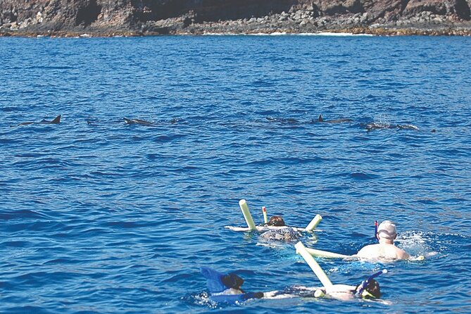 Morning Snorkel Sail From Lahaina Harbor - Directions
