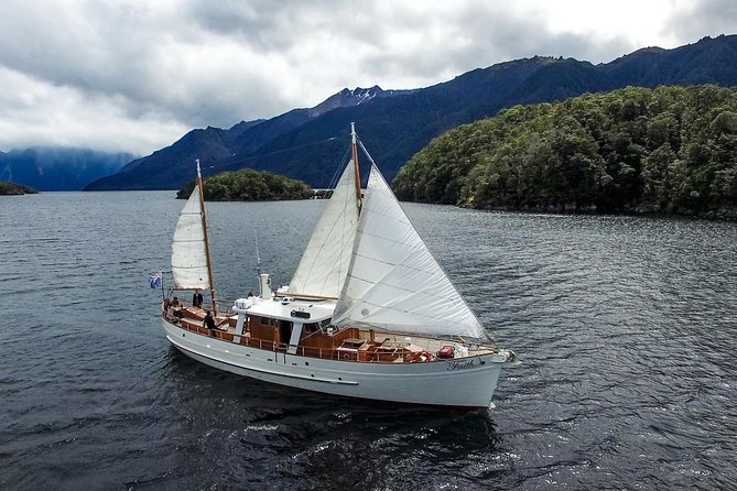 Morning Tea Cruise on Historic Motor Yacht From Te Anau - Enjoy Views of the Southern Alps