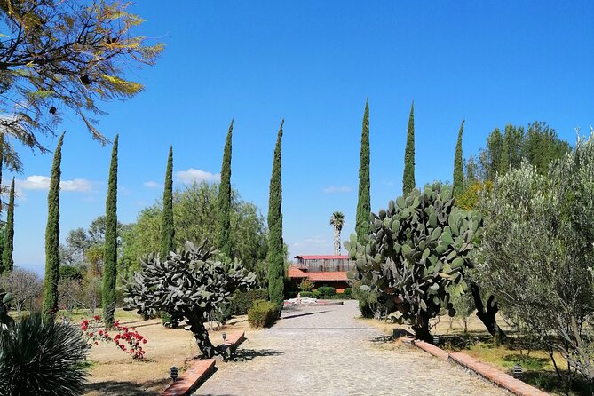Morning Tour and Olive Product Tasting - Logistics and Important Information