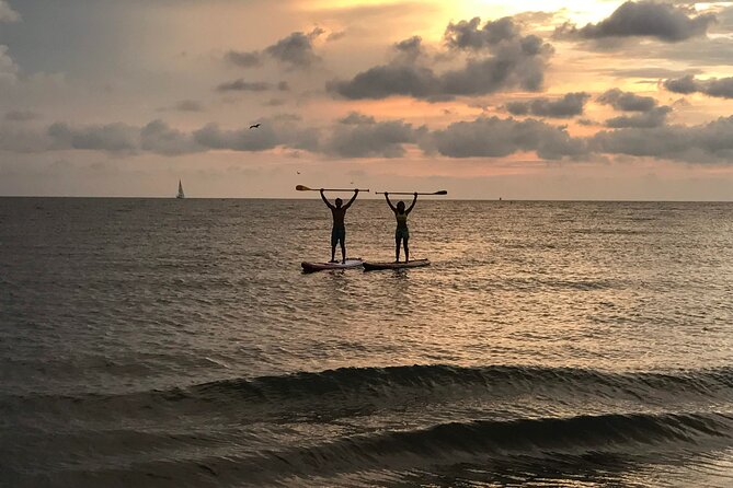 MORNING TOUR PaddleBoard - Reviews and Ratings