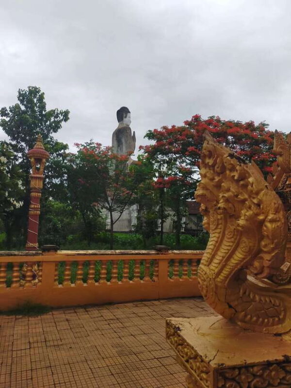 Morning Tuk tuk: City, Handicrafts, Killing field, Temples - Who Will Love This Tour?