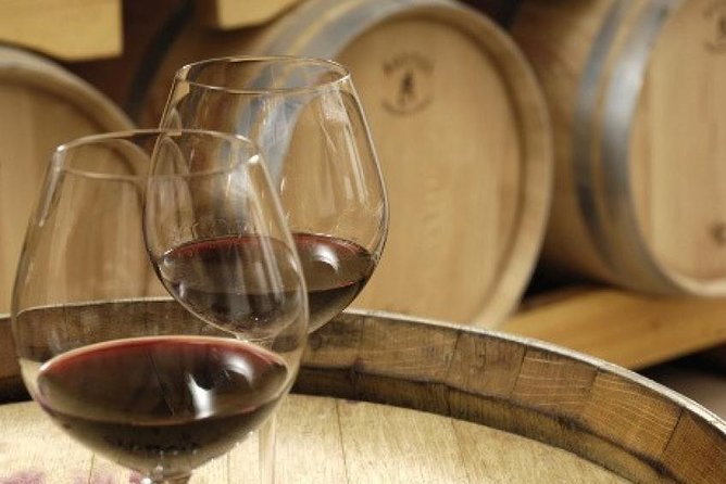 Morning Wine Tour to Chateauneuf Du Pape From Avignon - Value for Money