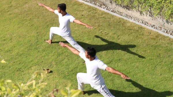 Morning Yoga Class, Indonesian Cheese & Wine Tasting Delight - Questions You May Have