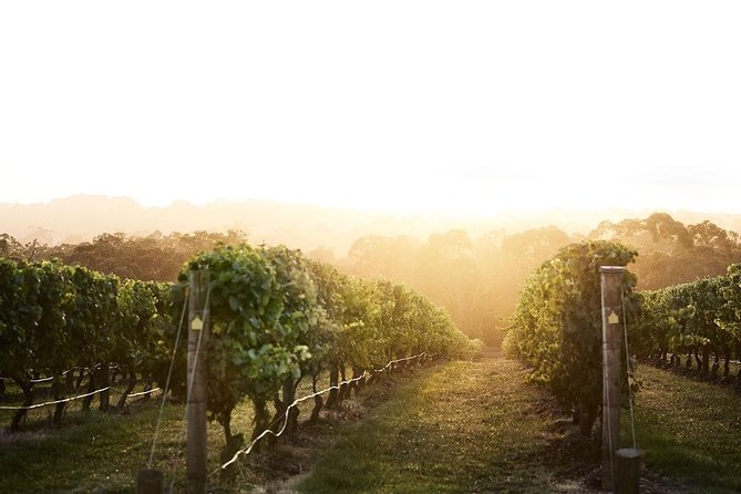Mornington Peninsula 2-6 Guests Lunch Rare Hare or Merricks General Wine Store - Meeting and Pickup Information