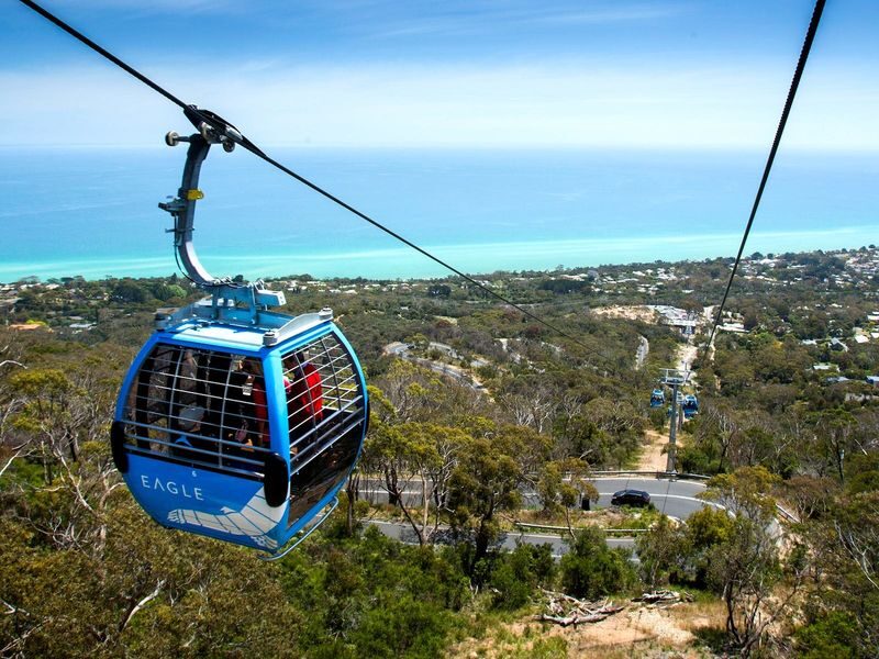 Mornington Peninsula Boutique Wine and Lunch Small Group Tour - Art and coastal air at Pt Leo Estate