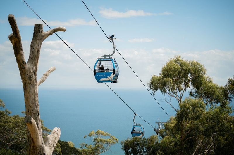 Mornington Peninsula Coastal Discovery Tour - Practical details before you book