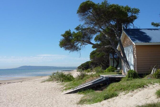 Mornington Peninsula Coastal Discovery Tour from Melbourne - Good To Know