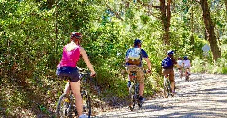 Mornington Peninsula: Guided Food & Wine Cycling Tour - Tour Details