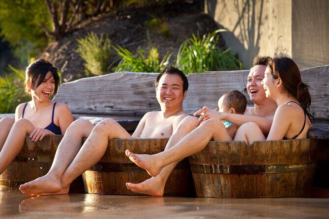 Mornington Peninsula Hot Springs Spa Day Tour from Melbourne - Who Should Consider This Tour?