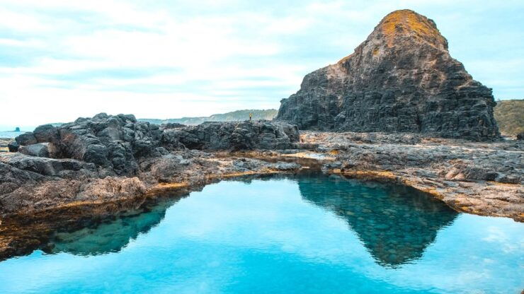 Mornington Peninsula & Hot Springs Tour - Tour Overview