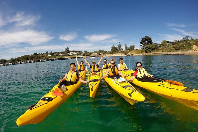 Mornington Peninsula Kayak Coastline Tour of Dolphin Sanctuary - Tour Overview and Inclusions