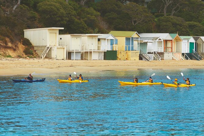 Mornington Peninsula Kayak Coastline Tour of Dolphin Sanctuary - Meeting and Pickup Details