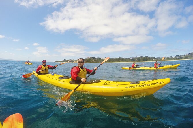 Mornington Peninsula Kayak Coastline Tour of Dolphin Sanctuary - Additional Information
