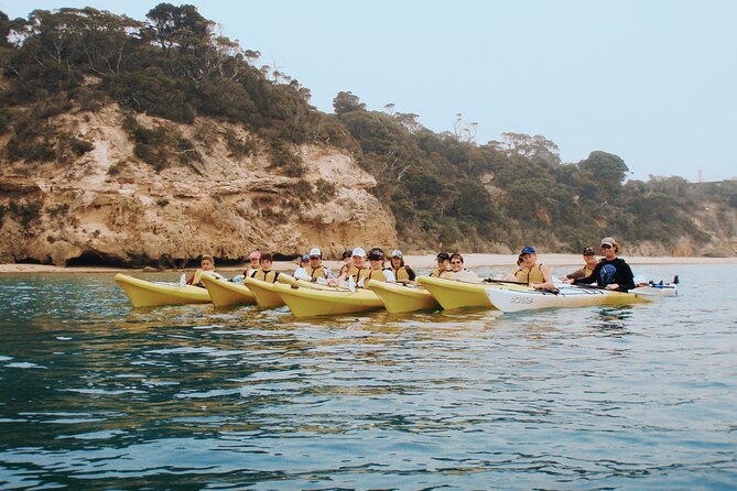 Mornington Peninsula Kayak Coastline Tour of Dolphin Sanctuary - Cancellation Policy and Reviews