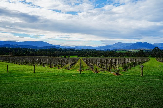 Mornington Peninsula Private Car Winery Tour.1-7 People One Car Price. - Common Questions
