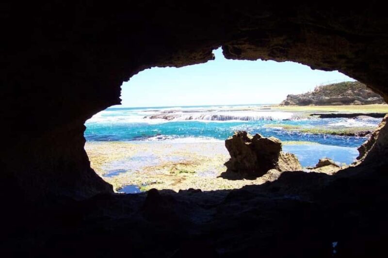 Mornington Peninsula Private Day Tour - A Deep Dive into the Mornington Peninsula Private Tour