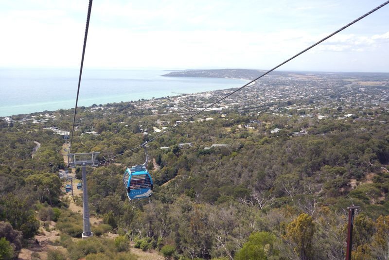 Mornington Peninsula Private Day Tour - Key points before you book