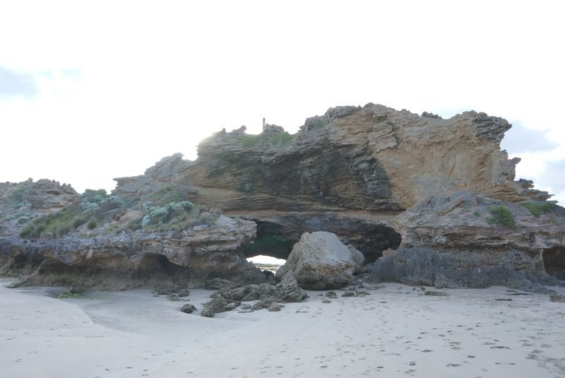Mornington Peninsula Private Day Tour - A full day beyond Melbourne