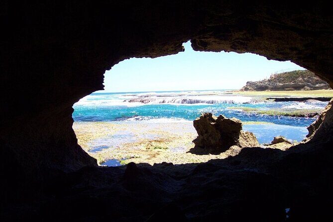 Mornington Peninsula Private Day Tour - Discovering Mornington Peninsula: An In-Depth Review