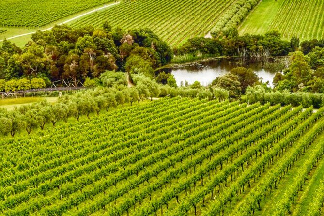 Mornington Peninsula Private Wine Tour. Your day. Your Way. - Introduction: Why This Tour Might Be Perfect for You