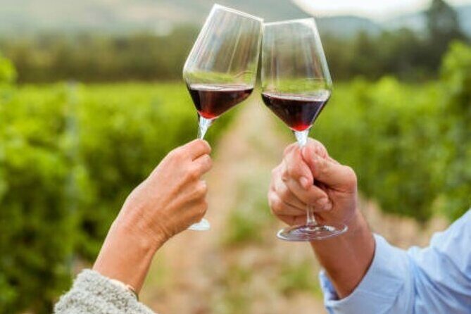 Mornington Peninsula Private Wine Tour. Your day. Your Way. - Final Thoughts: Who Will Love This Tour?