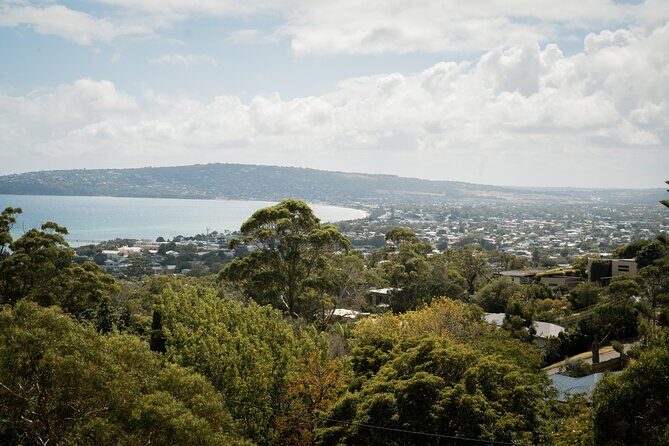 Mornington Peninsula Small Group Thermal Springs w/ Lunch & Wine - Who Will Appreciate This Tour?