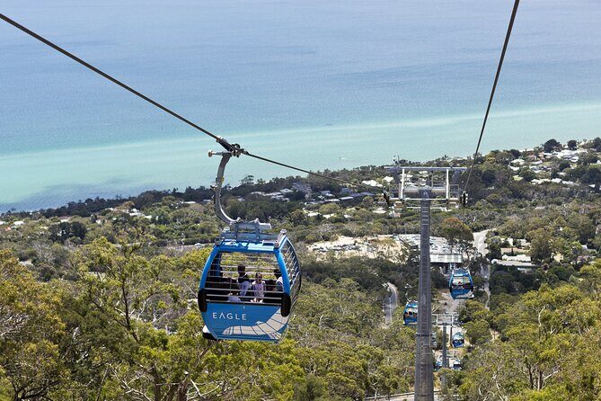 Mornington Peninsula Tour inc chairlift,beach boxes,lunch,choc tasting and more - Good To Know