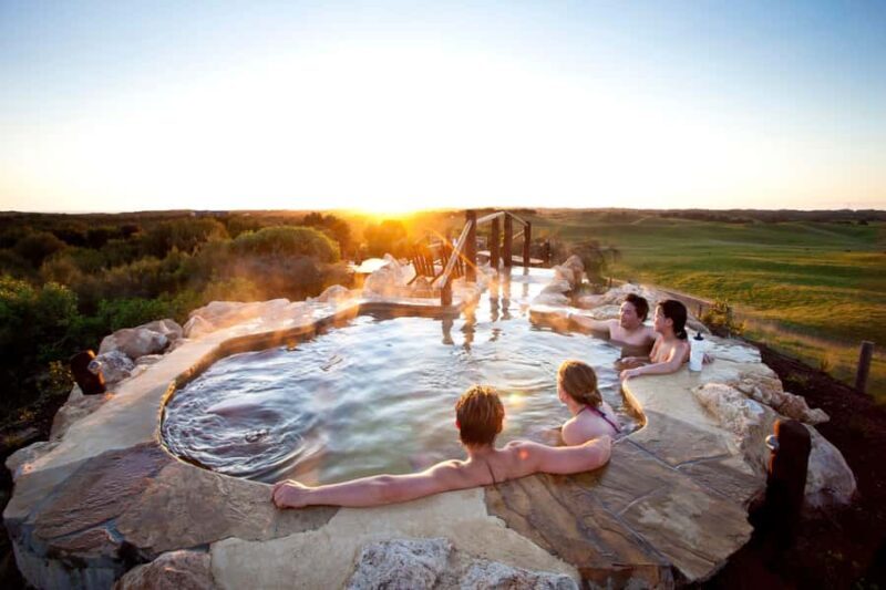 Mornington Peninsula Tour: wildlife, wine, art & hot springs - Practical Tips and Insights  