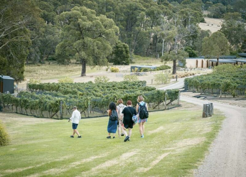 Mornington Peninsula: Transfers, Food and Wine Tour - Good To Know  