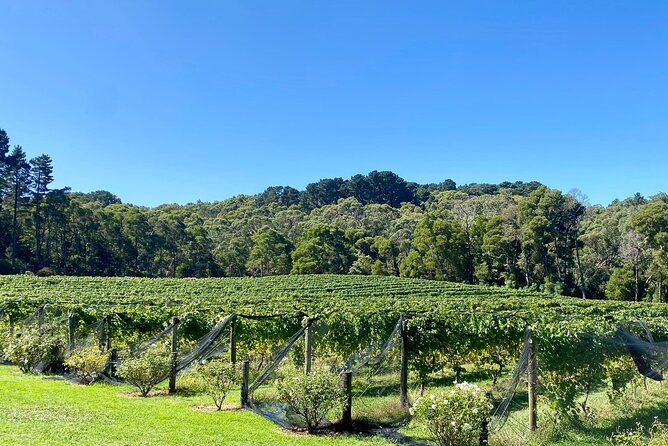 Mornington Peninsula Victoria Food & Wine Region Self-Guided Cycle Tour - Common Questions